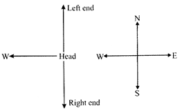 Worksheet Solutions: Maths Tricks - 2 | Mental Maths - Class 1