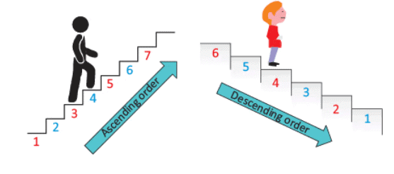 Everyday Mathematics: Numbers | Mathematics Olympiad for Class 1