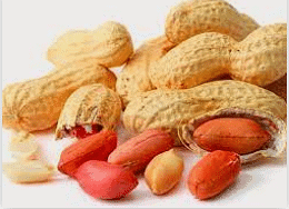 Groundnut 