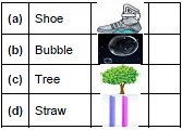 After a Bath/The Bubble, the Straw, and the Shoe - 2 Class 1 Worksheet English Marigold Unit 2