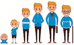 Baby Grows into an adults 