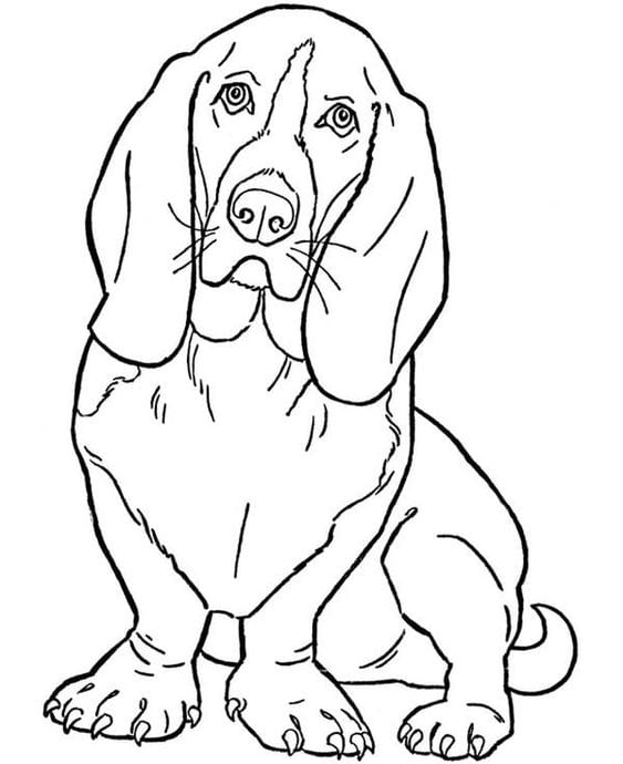 Printable Worksheet: Dog | Hands on Art & Craft - Class 1