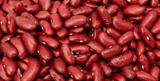 Kidney Bean
