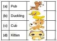 Worksheet Solution: One Little Kitten/Lalu and Peelu - 1