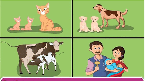 Living Things & their Characteristics | Science Olympiad for Class 1