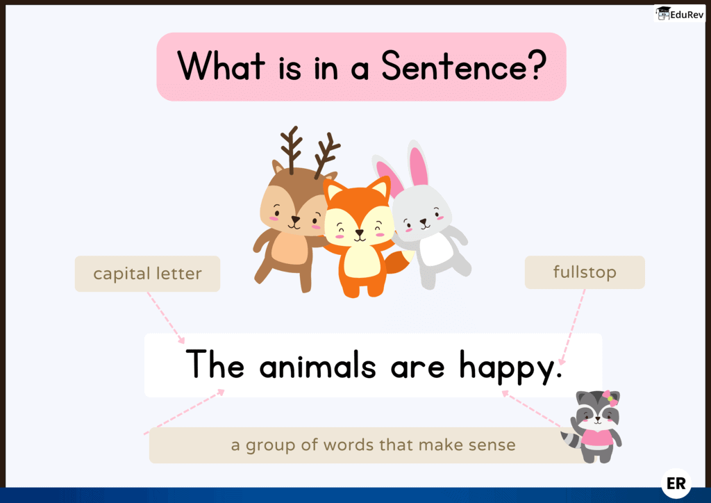 Let`s Learn: Sentences | Cursive Writing for English - Class 1