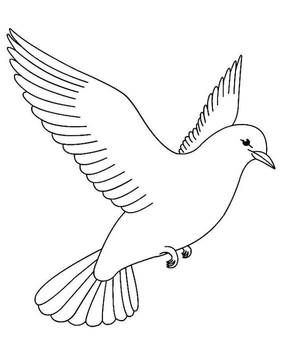 Printable Worksheet: Birds- 2 | Hands on Art & Craft - Class 1