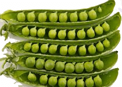 Peas