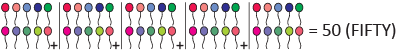 Olympiad Notes: Numerals | Mathematics Olympiad for Class 1