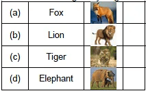 Worksheet Solution: Flying-Man/The Tailor and his Friend - 4