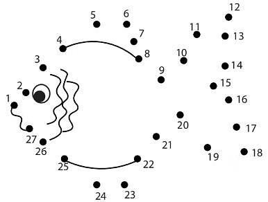 Numbers from Twenty-one to Fifty - 1 Class 1 Worksheet Maths