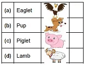 Worksheet Solution: One Little Kitten/Lalu and Peelu - 1