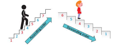 Olympiad Notes: Numerals | Mathematics Olympiad for Class 1