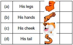 A Little Turtle/The Tiger and the Mosquito - 3 Class 1 Worksheet English Marigold Unit 8