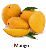Parts of Plants | Science Olympiad for Class 1