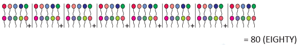Olympiad Notes: Numerals | Mathematics Olympiad for Class 1