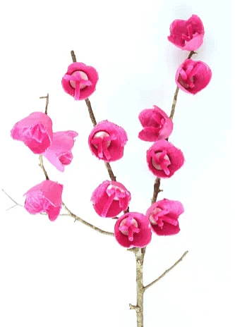 Craft Ideas: Cherry Blossom Tree | Hands on Art & Craft - Class 1