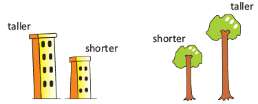 Olympiad Notes: Length, Weight And Capacity | Mathematics Olympiad for Class 1