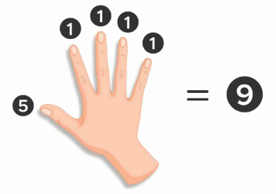 Finger Counting | Abacus - Class 1