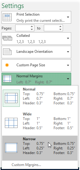 Page Layout & Printing | How to become an Expert of MS Excel - Class 6