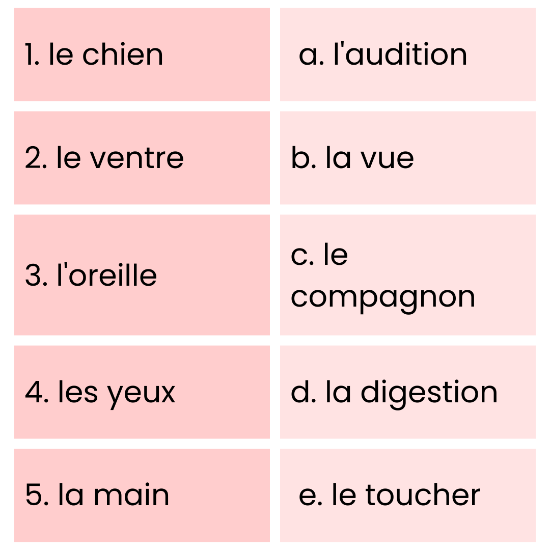 Worksheet Solutions: Voilà le frère et la sœur de Manuel | French for Class 6