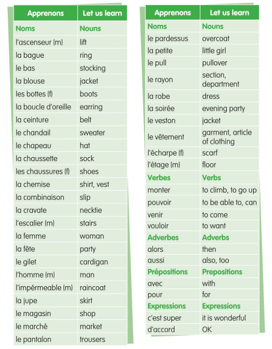 Dans un Grand Magasin (In a Big Store) Chapter Notes | French for Class 6
