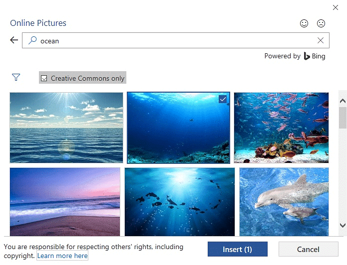 Pictures & Text Wrapping | How to become an Expert of MS Word - Class 6