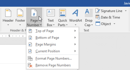 Page Numbers | How to become an Expert of MS Word - Class 6