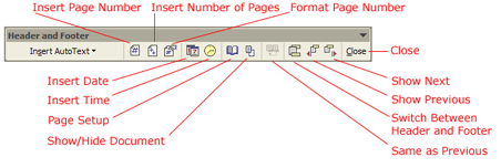 Headers & Footers | How to become an Expert of MS Word - Class 6