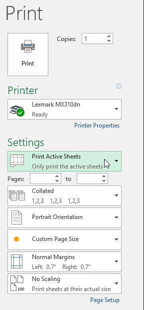 Page Layout & Printing | How to become an Expert of MS Excel - Class 6