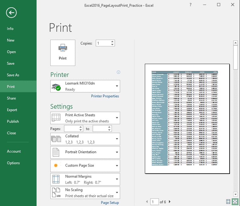 Page Layout & Printing | How to become an Expert of MS Excel - Class 6