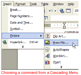 Identifying Parts of the Word Window | How to become an Expert of MS Word - Class 6