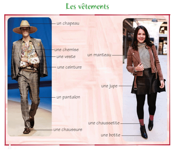 Dans un Grand Magasin (In a Big Store) Chapter Notes | French for Class 6