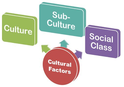 Cultural Factors | Commercial Applications - Class 6