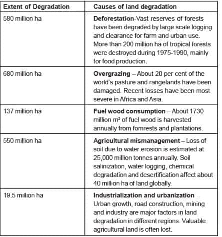 Soil Formation and Organic Matter