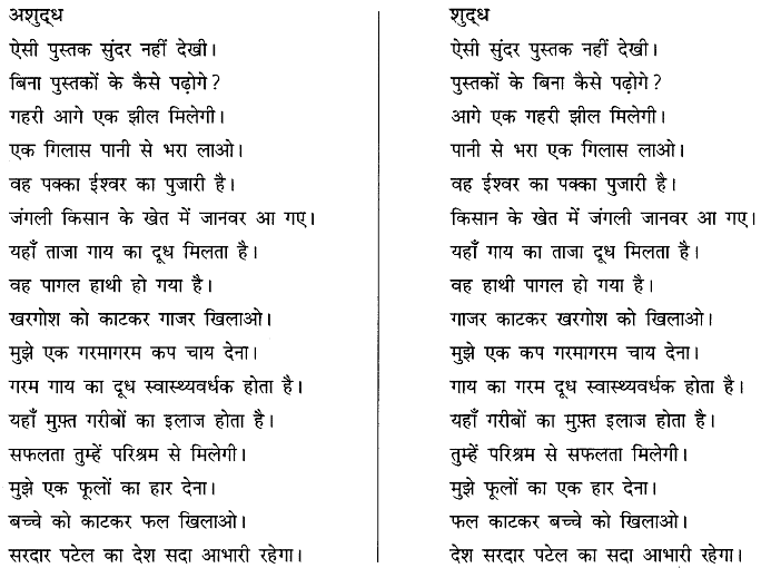 अशुद्धि शोधन | हिंदी व्याकरण - कक्षा 10 - Class 10