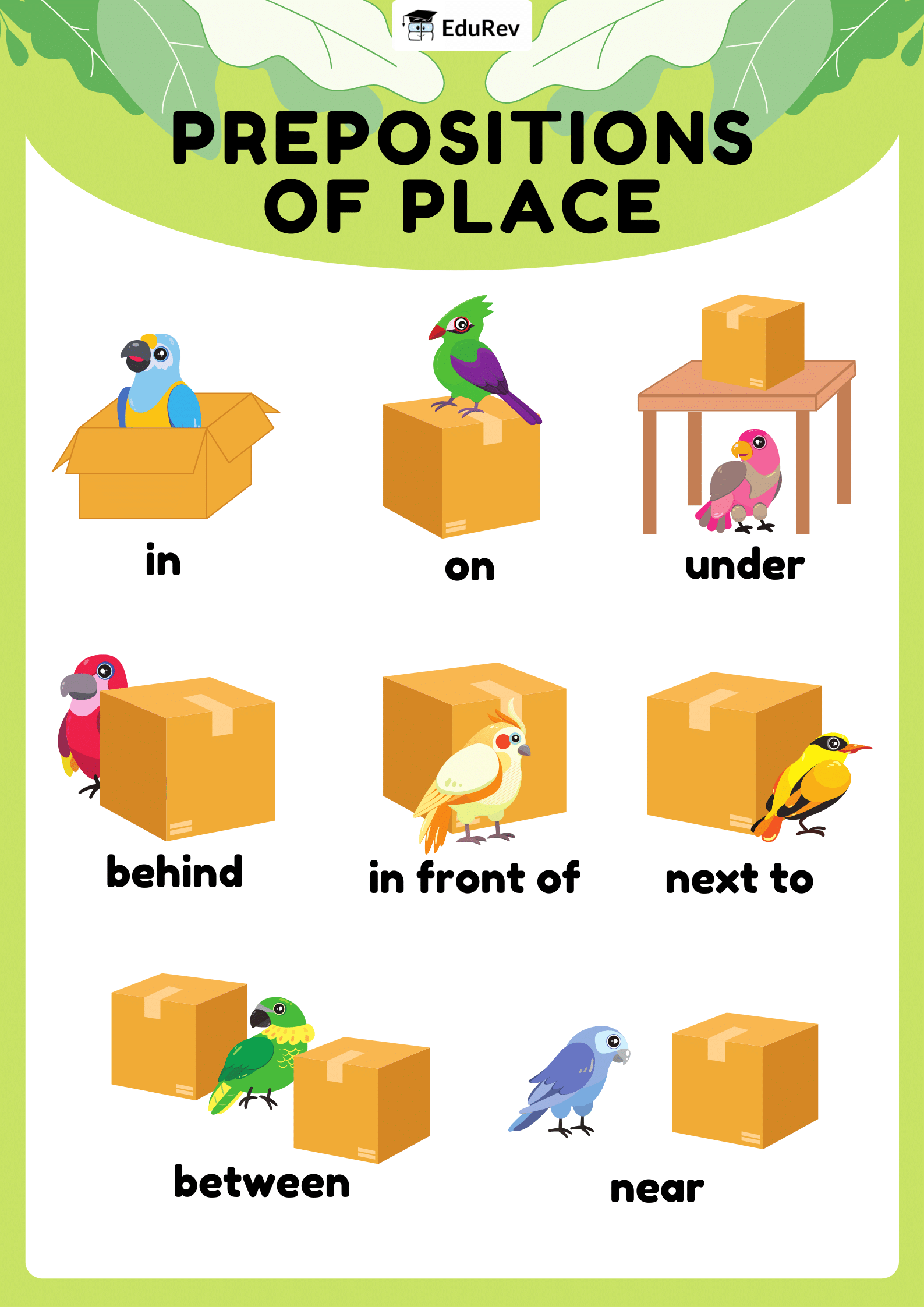 Infographics: The Preposition | English Grammar Class 7