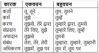सर्वनाम क्या है? | Hindi Grammar Class 7
