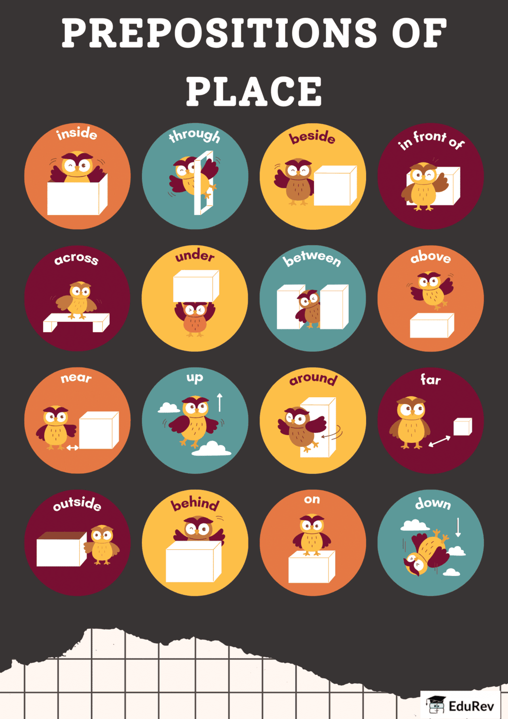 Infographics: Prepositions | English Grammar Class 3