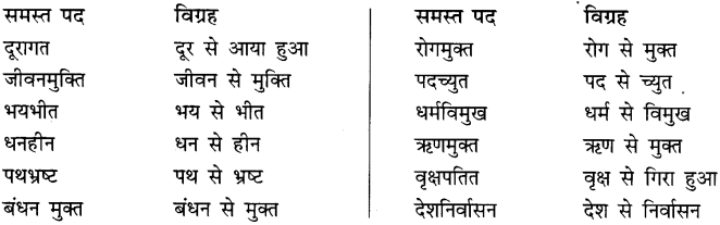 समास और समास के भेद | Hindi Language for Teaching Exams - DSSSB TGT/PGT/PRT