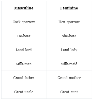 The Noun | English Grammar Class 7