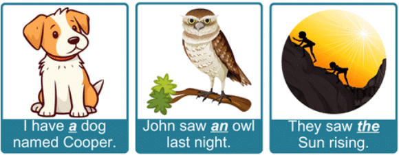 Articles | English Grammar Class 3