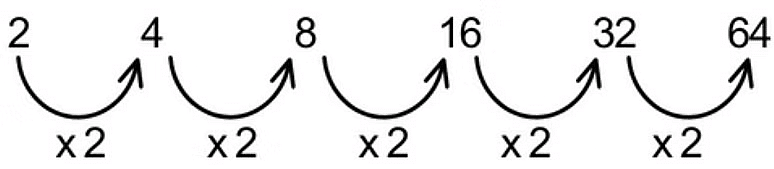 Number Series | Science Olympiad for Class 3