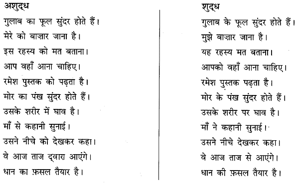 अशुद्धि शोधन | हिंदी व्याकरण - कक्षा 10 - Class 10