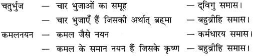 समास और समास के भेद | Hindi Language for Teaching Exams - DSSSB TGT/PGT/PRT