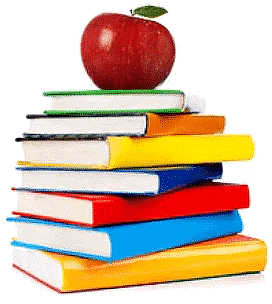 Worksheet Solutions: Essay Writing | Worksheets with Solutions for Class 5