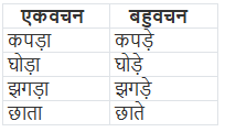 लिंग, वचन और कारक | Hindi Class 5