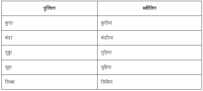 लिंग Chapter Notes | Hindi Vyakaran (हिन्दी व्याकरण) Class 8