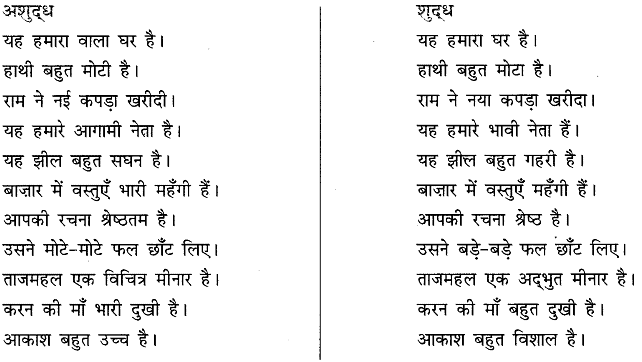 अशुद्धि शोधन | हिंदी व्याकरण - कक्षा 10 - Class 10