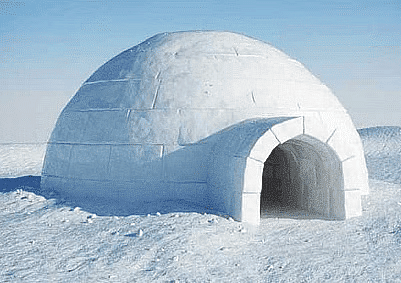 Housing and Clothing Chapter Notes | Science Olympiad for Class 3